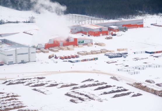 АО «Краслесинвест». Лес служит человеку, а человек – лесу!