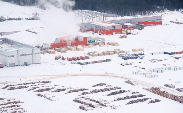 АО «Краслесинвест». Лес служит человеку, а человек – лесу!
