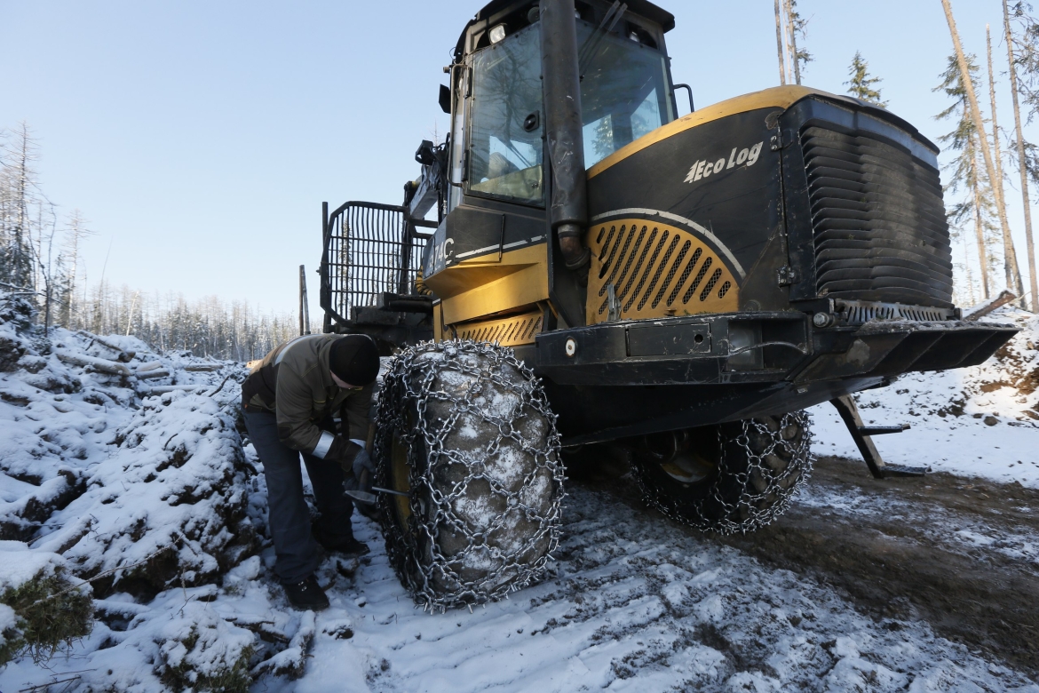 Операторы «Краслесинвест» готовятся к конкурсу «Лесоруб-2017»