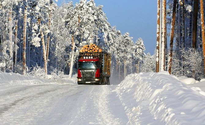 АО Краслесинвест планирует построить 133 км лесных дорог