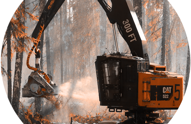 Лесозаготовка