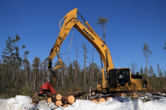 Инвестиционные проекты в лесную отрасль