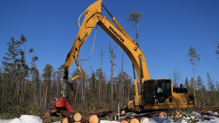 Инвестиционные проекты в лесную отрасль