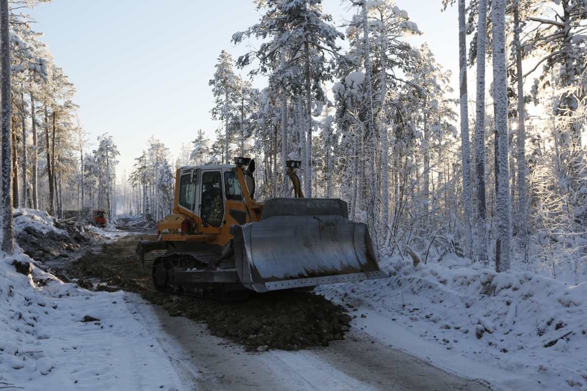 Защита леса от пожаров.