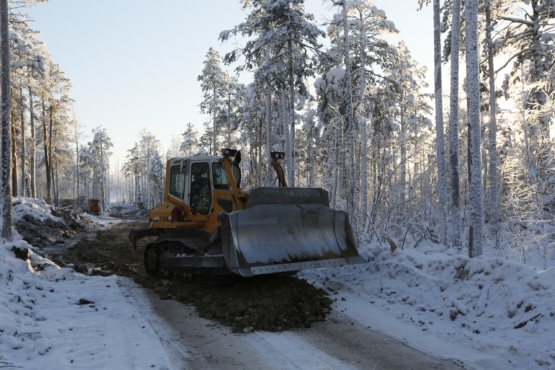 Защита леса от пожаров.
