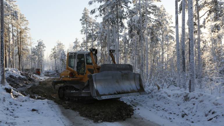 Защита леса от пожаров.