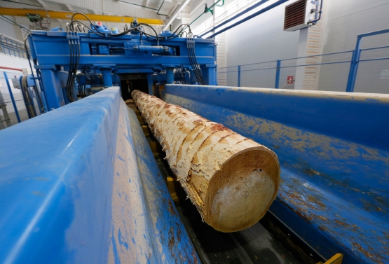 Итоги первого полугодия 2017