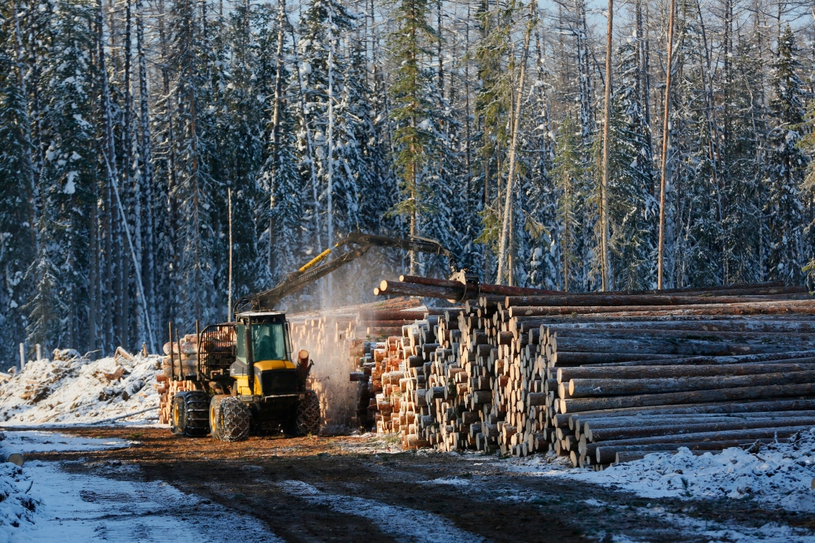 На конкурсе «Лесоруб – 2017» Красноярский край будет представлять Александр Шишков