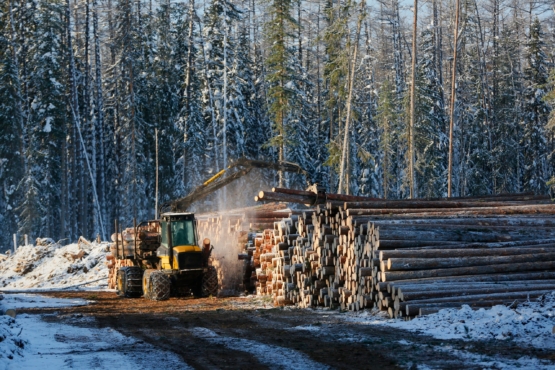 На конкурсе «Лесоруб – 2017» Красноярский край будет представлять Александр Шишков