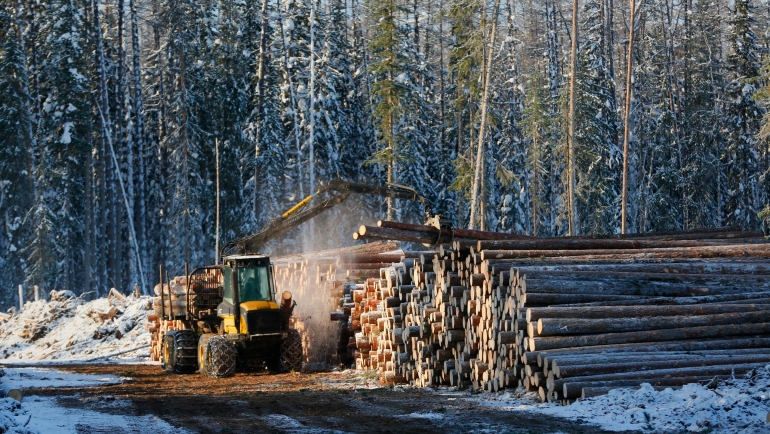 На конкурсе «Лесоруб – 2017» Красноярский край будет представлять Александр Шишков