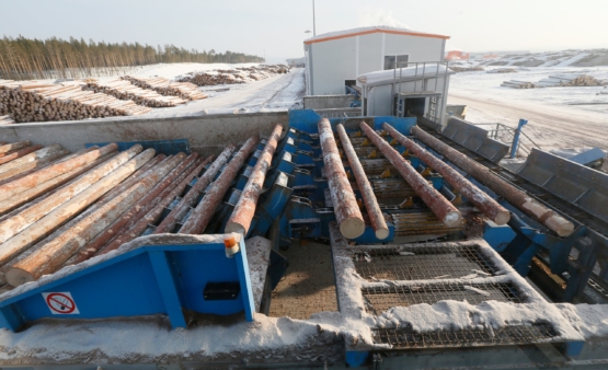 Модернизирнизация линии сортировки круглого леса Holtec.