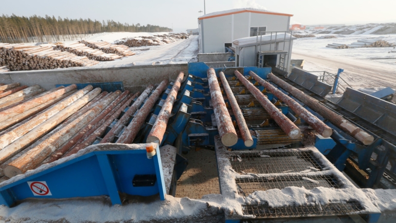 Модернизирнизация линии сортировки круглого леса Holtec.