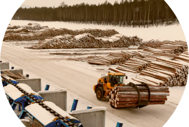 Пиловочник на предприятии