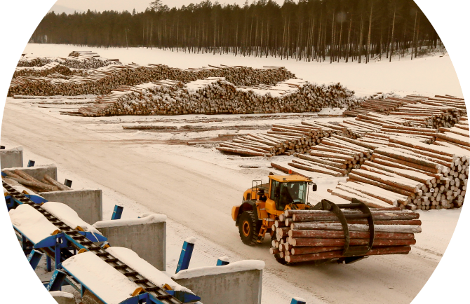 Пиловочник на предприятии