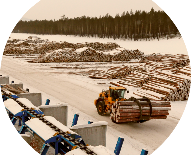 Пиловочник на предприятии