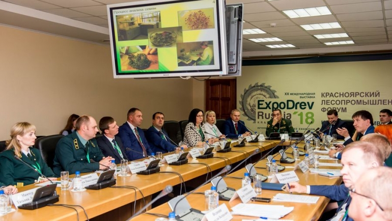 «Краслесинвест» готов стать пилотной площадкой по внедрению модели Интенсивного лесопользования в Красноярском крае