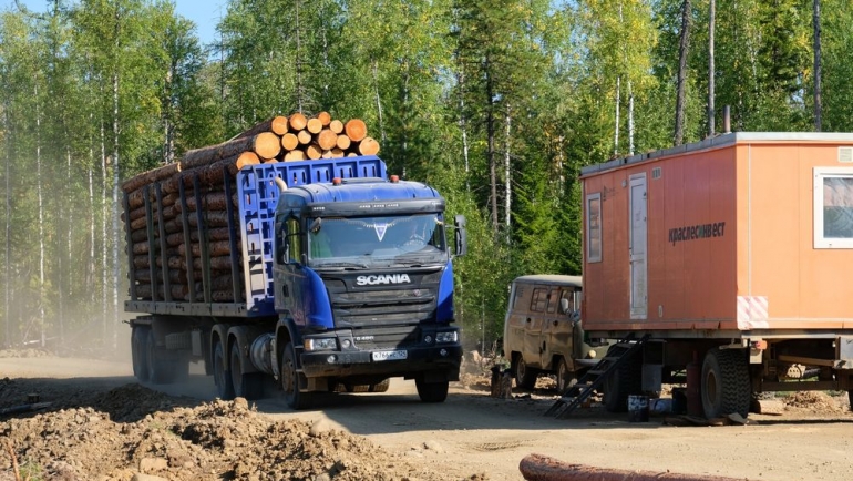 Маленькое путешествие в большую отрасль или в гостях у таежного подсолнуха