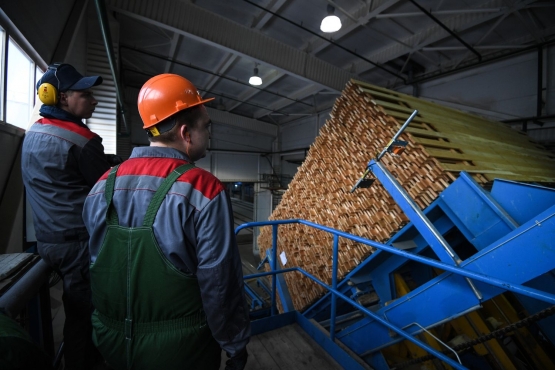 Краслесинвест готовит специальные программы профессиональной стажировки для студентов