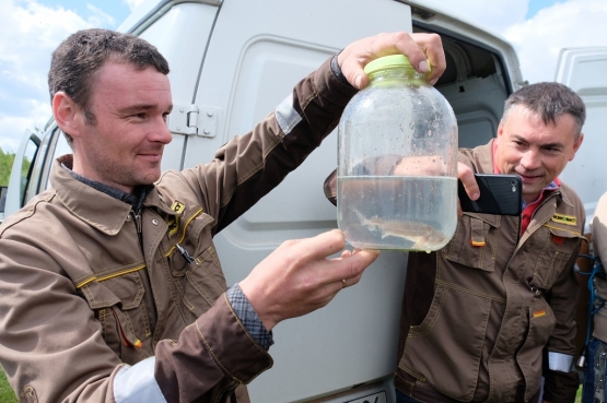 «Краслесинвест» зарыбливает Ангару