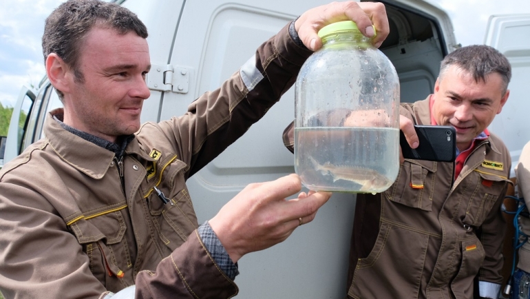 «Краслесинвест» зарыбливает Ангару