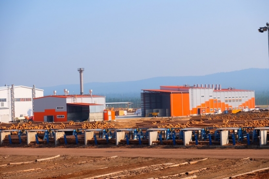 Краслесинвест набирает штат на новый пеллетный завод.