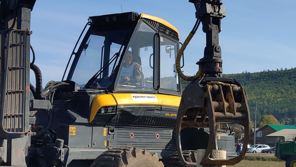 Лучший Ангарский лесоруб