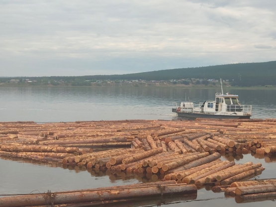 Сплав сырья по Ангаре