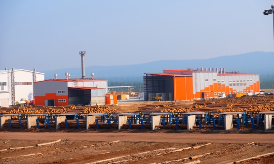 Топливные пеллеты «Краслесинвеста»: как это делается от и до