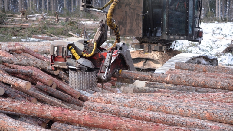 Древесина с лесосек учитывается тщательно.