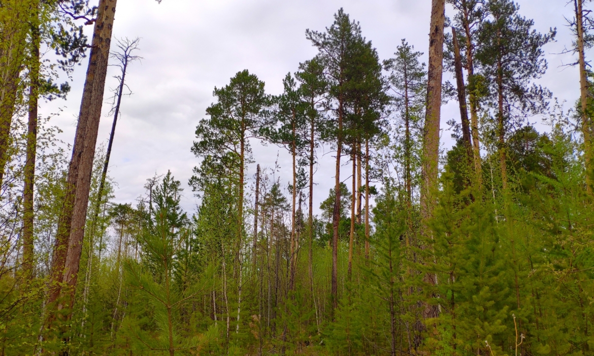 Более 3 млн. рублей на обновление противопожарного оборудования