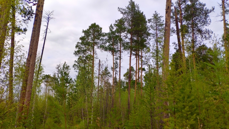 Более 3 млн. рублей на обновление противопожарного оборудования