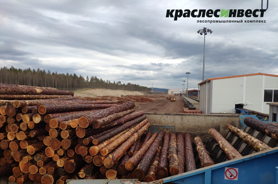 Внедрение новых правил учета древесины.