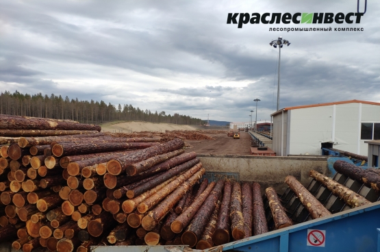 Внедрение новых правил учета древесины.