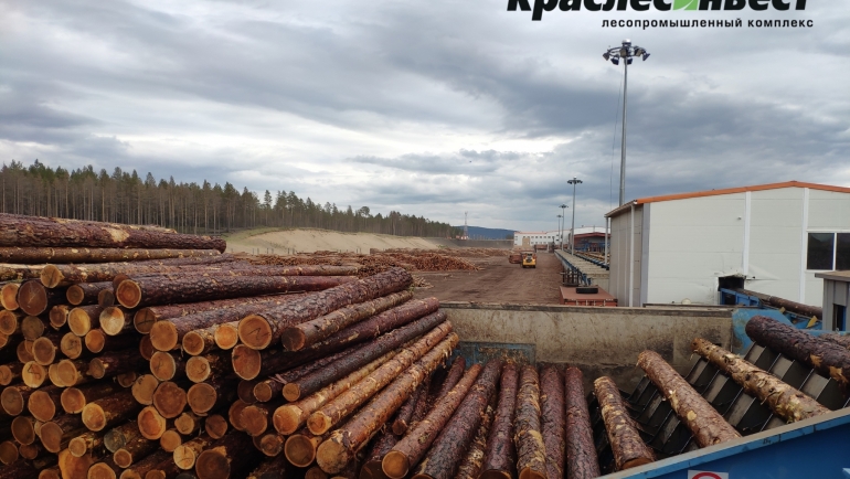 Внедрение новых правил учета древесины.