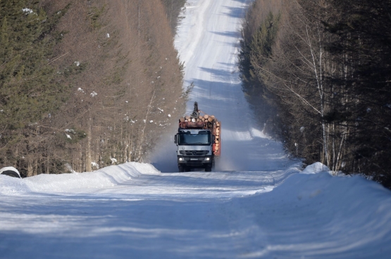 Краслесинвест успешно осваивает Лес ЕГАИС.