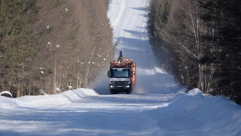Краслесинвест успешно осваивает Лес ЕГАИС.