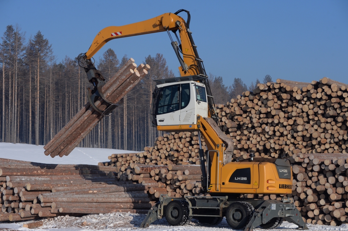 Итоги первого квартала 2022 года. Заготовка пиловочного сырья.