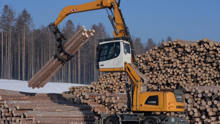 Итоги первого квартала 2022 года. Заготовка пиловочного сырья.