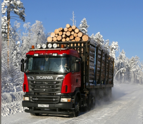 Краслесинвест внедряет «цифровой лес» в управлении лесообеспечением