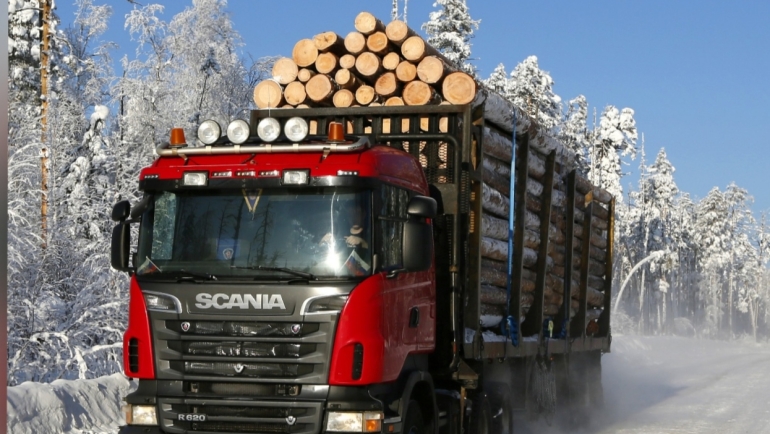 Краслесинвест внедряет «цифровой лес» в управлении лесообеспечением