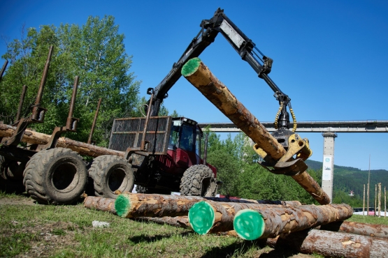 ХI краевые соревнования «Сибирский лесоруб 2025»